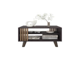Coffee Table, 1 Door, 2 Shelves, Black Wengue / Natural Oak B097P369429