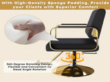 Hydraulic Salon - 360&deg Swivel Barber Stylist with Pump, Non-Tilting Hairdressing 12084379