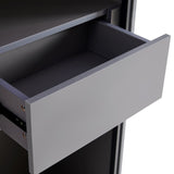 60.6'' Tall Display Cabinet with Tempered Glass Door, LED Lighting, Two Drawers, Modern Style N845P261799E