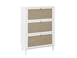 Rattan 3 Door Shoe Rack, Freestanding Modern Shoe Storage Cabinet, for Entryway W688P211259