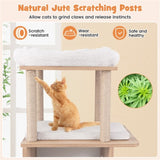 47 Inches Wooden Cat Condo 20707263