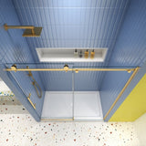 Glass shower door, sliding door, soft close system, with 5/16" tempered glass and Brushed Gold W2122P225223