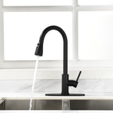 Black Kitchen Faucet, Kitchen Faucets with Pull Down Sprayer Commercial Stainless Steel Single 43249908