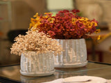 Handmade White Glazed Ceramic Planter Set of 2, 6" & 8" Diameter, Bamboo-like Pattern, for Orchids 89494028