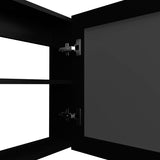 Medicine Cabinet 20.5" H, with 2 Shelves, 1 Door, and 1 Mirror, Black B097P250879