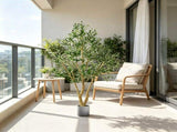 6FT Artificial Olive Tree, Natural Wood Trunk Realistic Leaves, Faux Indoor Plant for Home, Office 08626207