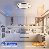 19 Inch RGB Dimmable Led Enclosed Ceiling Fan with Light Flush Mount Bladeless 6 Speed Remote 23895230