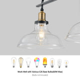 45" Industrial 3-Light Pendant Chandelier with Clear Glass Shades, Black Metal Frame, Adjustable W1340P253586
