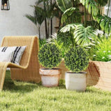 Artificial Plant/Green plants 94115686