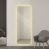 64"x21" Length Floor Mirror LED Whole Body Mirror, Wall Mounted Mirror with Lights, Bedroom W2709P289326