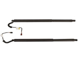 2Pcs Rear Left Right Power Lift Gate Cylinder Struts Fit for 2015-2019 Nissan Murano 3.5L 73029411