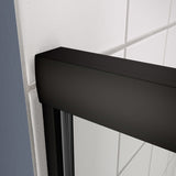 Bypass shower door, sliding door, with 1/4" tempered glass and Matted black finish 50-54"x70" W2122131035