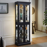 Elegant Lighted Glass Curio Display Cabinet Wooden Frame Storage for Living Room, Kitchen & Pantry W1758P297547