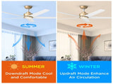 52 inch Ceiling Fans with Lights, Large Air Volume Ceiling Fans with Reversible Quiet DC Motor and 10595936