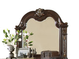 ZUN Roma Traditional Style Mirror made with Wood in Dark Walnut 808857704078