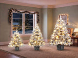 3Piece Flocked PreLit Christmas Tree Set, 3FT 4FT 5FT Potted Artificial Tree with Warm White LED 3 N710P513662K