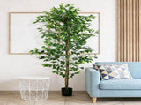 Artificial Plant/Green plants 18700852