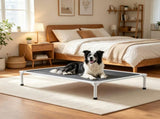 Elevated Dog Bed 61723452