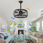 ZUN 20.24" Caged Ceiling Fan with Remote Control,Timer, 3 Speeds Indoor Ceiling Fan for Farmhouse, W1592P153814