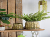 Set of 3 Metal Planter Distressed, L12x12x14" M9x9x11.5" S6.3x6.3x8.7" W2078P499531