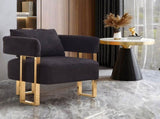 TS Modern decorative chair, living room side chair with gold metal legs, no wheels, suitable for 64040358