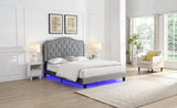 Upholstered Bed Button Tufted with Curve Design - Strong Wood Slat Support - Easy Assembly - Light W311P228694