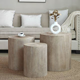 ZUN Set of 3 Nautral Wood Coffee Table with clear and visible tree rings W2729P199132