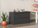 2 Drawer Lateral File Cabinet with Lock Heavy-Duty Metal Filing Cabinet for Home Office, 70120423