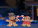 Set of 2 Lighted Gingerbread Man and Candy Cane Christmas Decorations, Pre-lit 2D Holiday Decor with 30550449