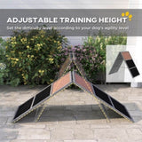 Dog Agility Ramp 37838431