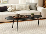 Black Stylish Irregular Shape Coffee Table, Heavy-Duty Metal Base Oval Sofa Side Table, 04619681