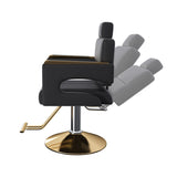 Professional Hydraulic Barber Chair - 360&deg Swivel with Adjustable Height, Stainless Steel 41738739