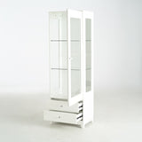 71'' Tall Display Cabinet with Single Upholstered Glass Door, China Cabinet, Wine Cabinet with 5 N845P277577W