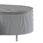 ZUN Grey High Gloss and Chrome Coffee Table B062P209131