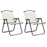 ZUN 2-piece Folding Outdoor Chair for Indoor, Outdoor Camping, Picnics, Beach,Backyard, BBQ, Party, W24190812