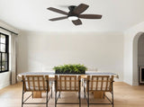 32 Inch LowProfile Flush Mount Fan with LED Light, Remote Control, 5Blade Reversible W3816P585861