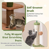 Multilevel Cat TreeCat Apartment 11635914
