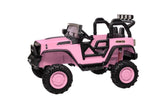 ZUN 24V 9Ah Ride on Toy for Big Kids, 2-Seater Powered Ride-on Truck Car with Remote,pink W2058P203309