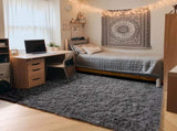 6ft x 9ft Rugs for Living Room,Grey Fluffy Carpet Large Fuzzy Plush Shag Comfy Soft, Non-Slip Indoor 14921504