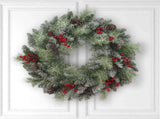 24'' Lighted Christmas Wreath with Warm White LED Lights 23678392