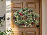 24'' Lighted Christmas Wreath with Warm White LED Lights 23678392