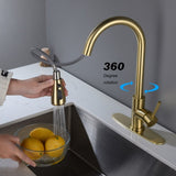Single Handle Stainless Steel Kitchen Sink Faucet with Pull Down Sprayer W2287P354628