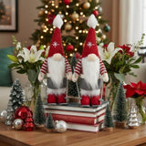 2PCS Set Christmas Gnomes 5.9x4.5x15in Holiday Decor Cute Tabletop Ornaments for Party Gifts & Home 20257806