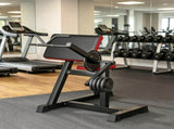 2-In-1 Heavy-Duty Bicep Preacher Curl Bench Bicep Curl Machine with Adjustable Seat & Elbow Cushion 49726789