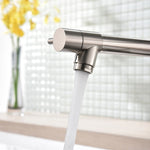 ZUN Commercial Kitchen Faucet with Pull Down Sprayer, Single Handle Single Lever Kitchen Sink Faucet W1932P172269