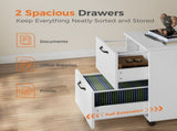 2-Drawer Rolling File Cabinet with Lockable Wheels, Printer Stand with Storage for Home Office 32879050