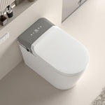 ZUN Smart Toilet, Smart Bidet Toilet with Remote Control, Raised Tankless Toilet with LED Display, W2026P200286