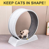 Cat running wheel 88862727
