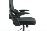 Ergonomic Mesh Office Chair, High Back Desk Chair with 3D Armrests, Up&Down Lumbar Support, Swivel W1622P196280