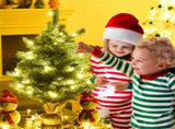 24 Inch Christmas Tree with LED Lights 42717521